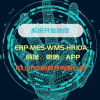 源代码软件开发服务