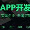 商城小程序定制 小程序appp定制